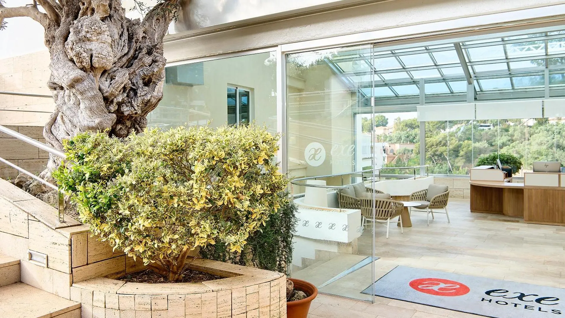 Exe Portals Nous (Adults Only) Hotel Spain